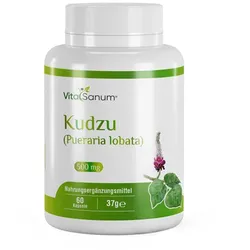 VitaSanum® - Kudzu (Pueraria lobata) 500 mg 60 Stück