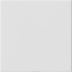 Gira Blindabdeckung o.Tragring 810827