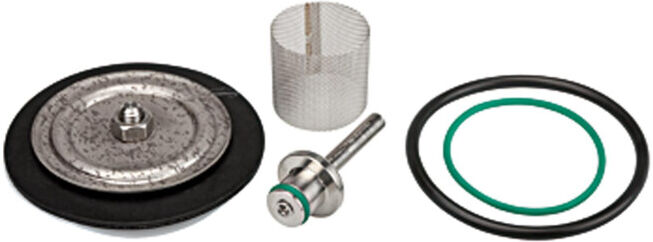 Riegler Kit de pièces d'usure avec membrane PTFE, max. 50 bar, G 1/4 (VTSDR1450)