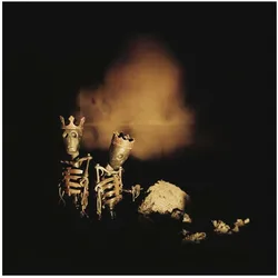 Riot Act, Schallplatten