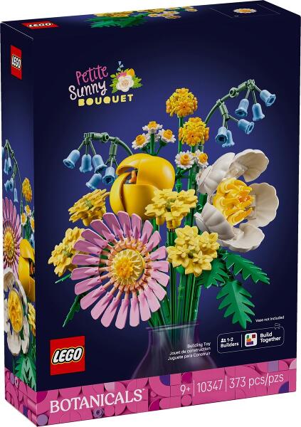 LEGO® Botanicals 10347 Botanicals Kleiner Sommerstrauß