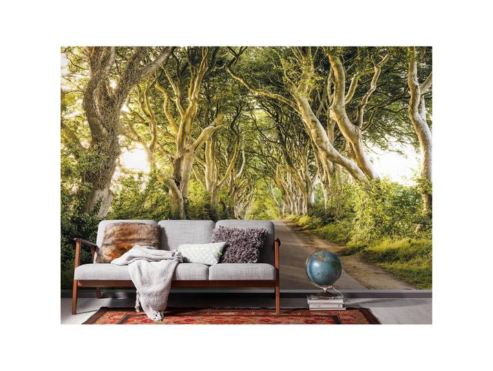 Vlies Fototapete Golden Hedges 400 x 250cm