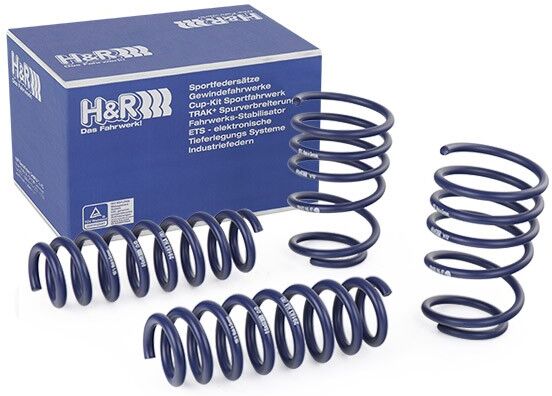 H&R 29183-2 Fahrwerksatz, Federn