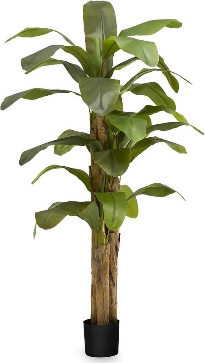 Hyperrealistische kunstmatige bananenboom voor binnen decoratie - Groen - Hoogte: 210 cm