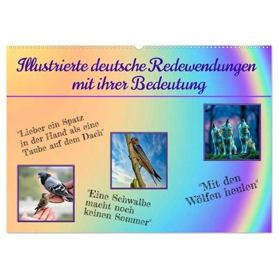 Illustrierte deutsche Redewendungen mit ihrer Bedeutung (Wandkalender 2027 DIN A2 quer), CALVENDO Monatskalender