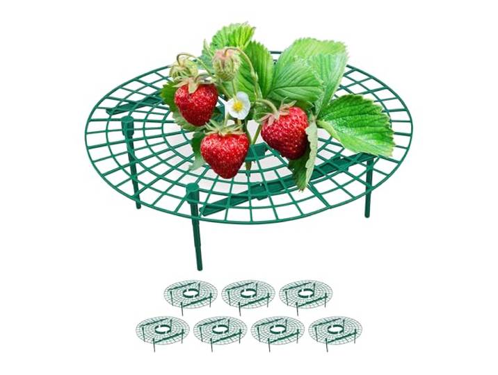 Relaxdays plantensteun aardbeien, set van 8, kunststof, voor betere oogst, bescherming tegen slakken & schimmel, groen