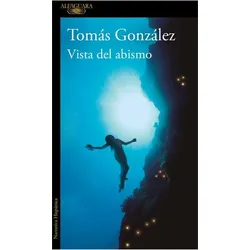 Vista del abismo, Belletristik von Tomas Gonzalez, Tomás González