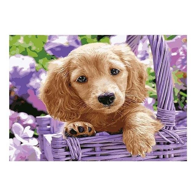 Norimpex 5D-Diamantmosaik - Hund 40x30cm (54653189)