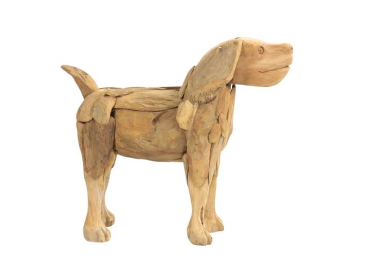 Chien en teck