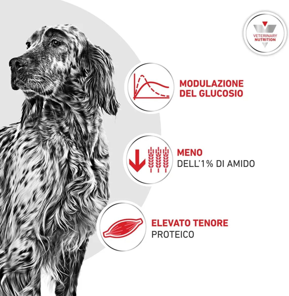 Royal Canin V-Diet Glycobalance Patè per Cani 410GR