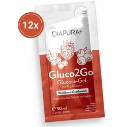 DIAPURA Gluco2Go Glucose-Gel m.15g Gluc.Waldbeer 360 ml