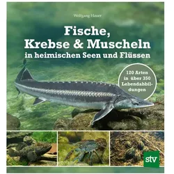 Fische, Krebse & Muscheln in heimischen Seen und Flüssen, Ratgeber von Wolfgang Hauer