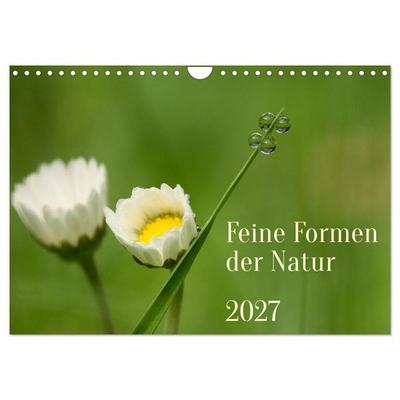 Feine Formen der Natur (Wandkalender 2027 DIN A4 quer), CALVENDO Monatskalender