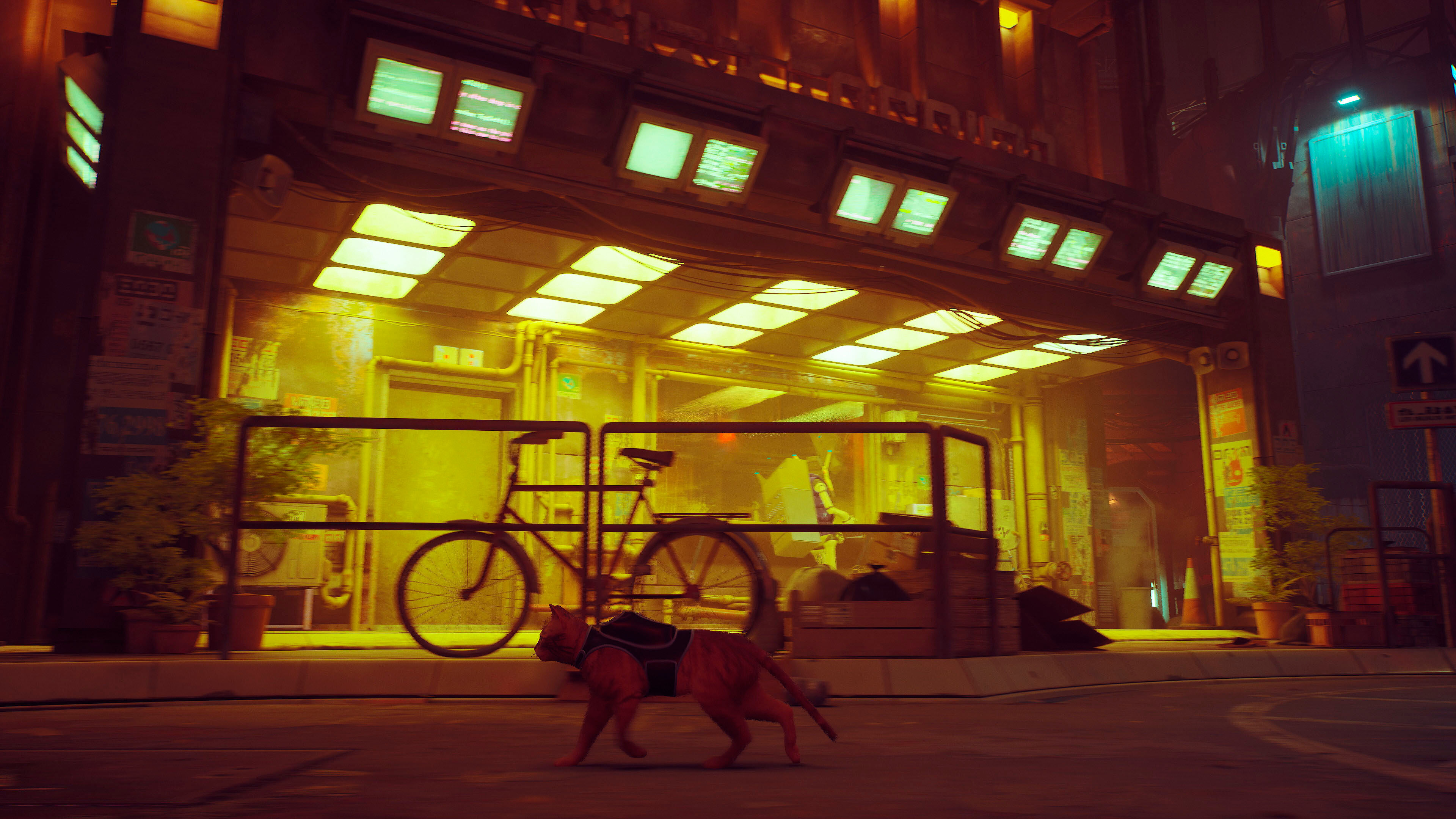 SKYBOUND GAMES Spielesoftware "Stray", transparent (weiß, neutral), Nintendo Switch, Spielesoftware, Spielesoftware