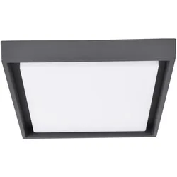 Näve LED Außendeckenleuchte IP54 "MIO" s:34cm