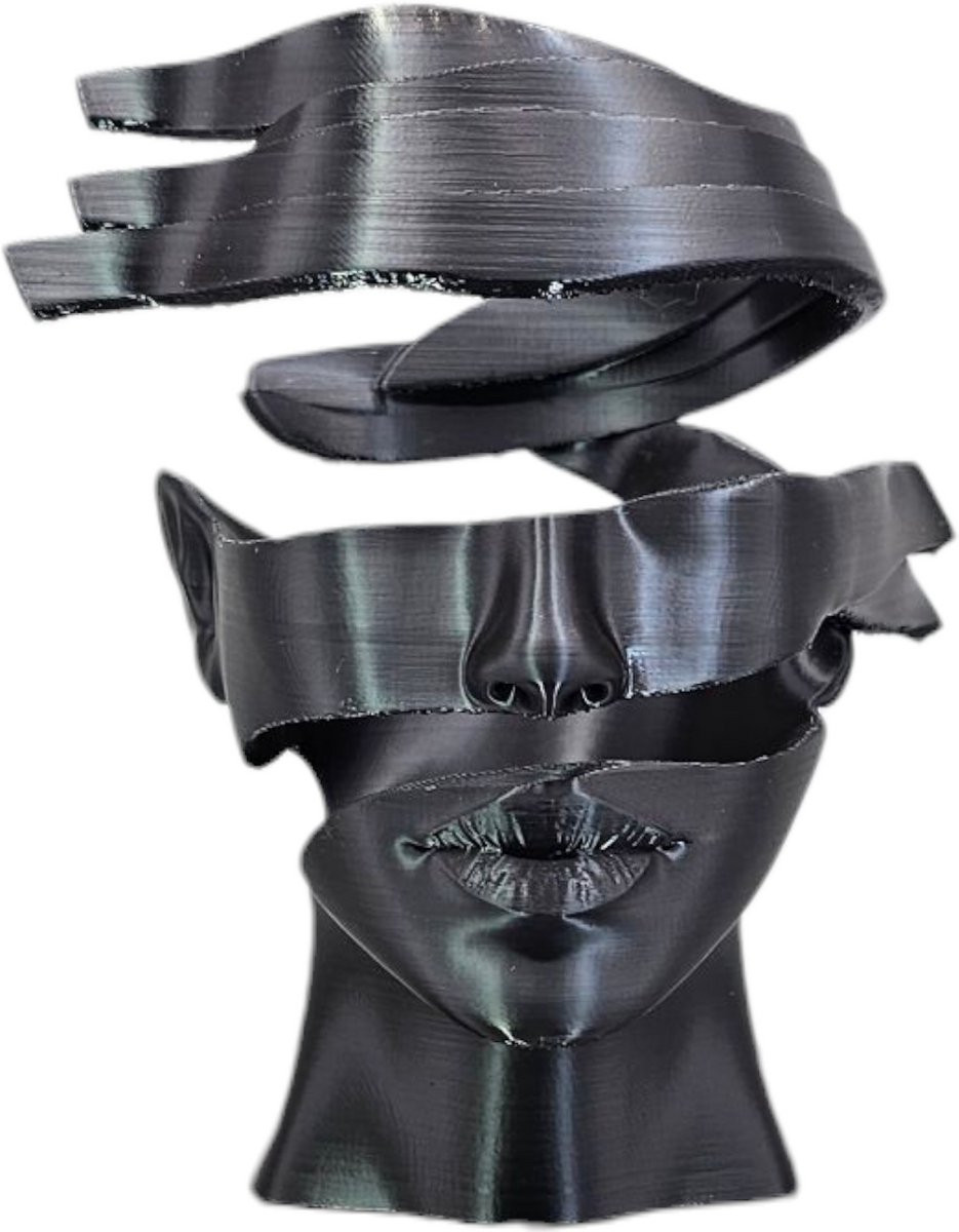 Layerzz Unpeeled Abstracte 3D Geprinte Huisdecoratie Beeld voor op Tafel - 15 cm