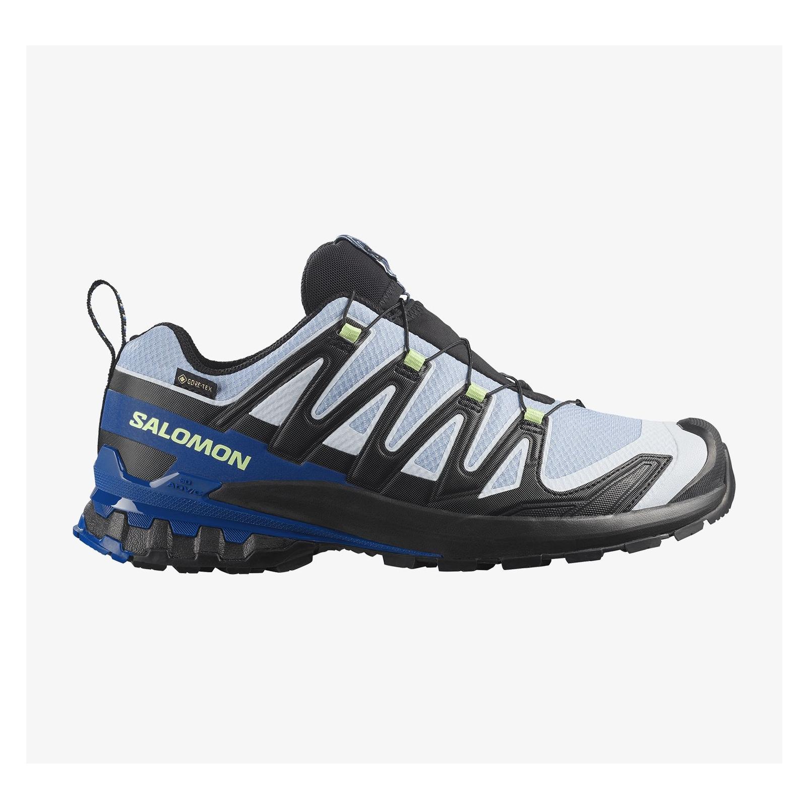 Salomon Trailschuhe XA Pro 3D V9 GTX Icon - black/brunnera blue (42) (L45486500)