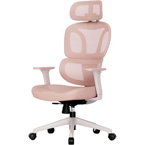 FlexiSpot Bürostuhl BS5P, rosa, Stoff / Netz, mit Kopfstütze, bis 136 kg