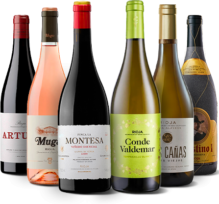 Rioja Tasting Essentials -