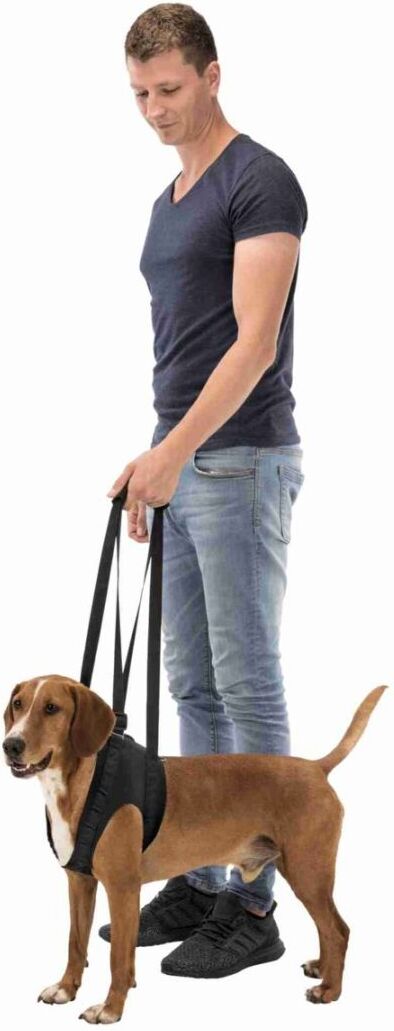 TRIXIE Gehhilfe, L–XL: 75–85 cm, schwarz