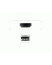 Jou Jye AVC 127 DVI-Adapter Mini DisplayPort M bis DVI-D W 10 cm weiß (AVC 127-0,1M)