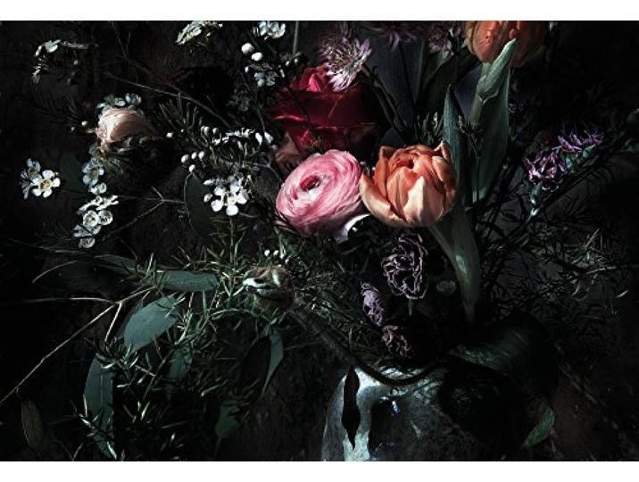 Photo Murale\, 368cm x 254cm\, Still Life