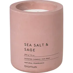 Fraga Sea Salt & Sage Duftkerze 11 cm