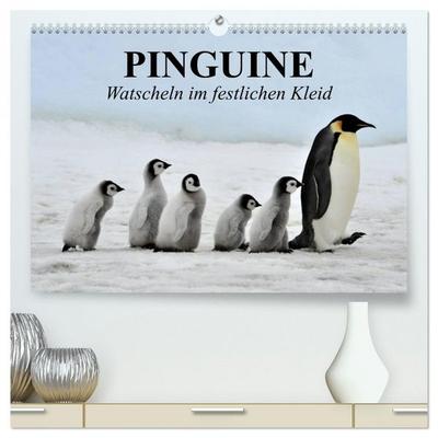 Pinguine - Watscheln im festlichen Kleid (hochwertiger Premium Wandkalender 2026 DIN A2 quer), Kunstdruck in Hochglanz