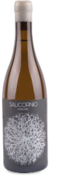 Casa Balaguer - Vinessens Casa Balaguer Salicornio Moscatel 2024