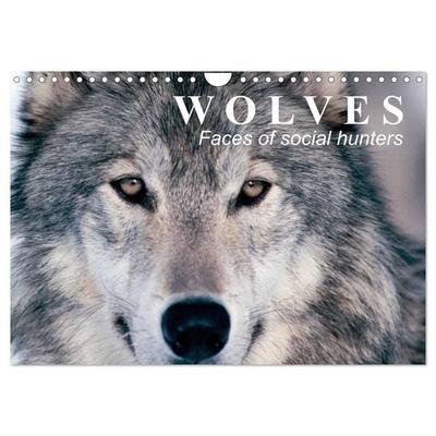 Wolves • Faces of social hunters (Wall Calendar 2027 DIN A4 landscape), CALVENDO 12 Month Wall Calendar