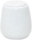 Royal Porcelain Spargipepe Forma 19