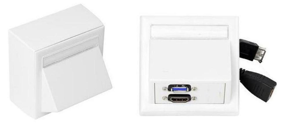 VivoLink WI221261 HDMI + USB A module met 2 modules, wit