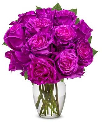 From You Flowers One Dozen Magenta Roses