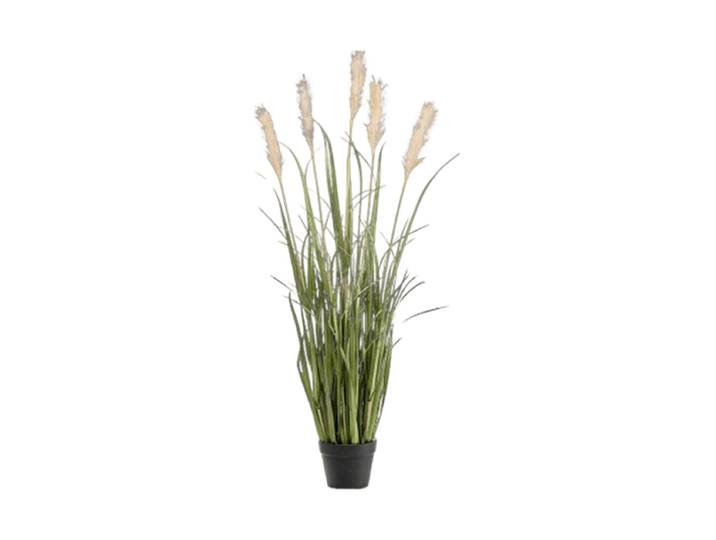 Lebensechte Kunstpflanze „Grass Pampas“, verschiedene Grössen Grün Baq Design