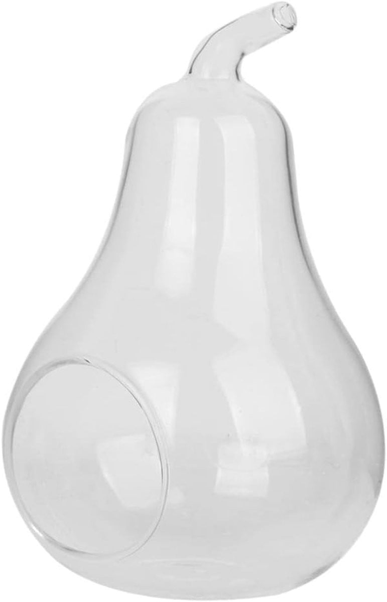Handgemaakte transparante glazen vaas voor hangende decoratie en planten, 14 x 9 cm