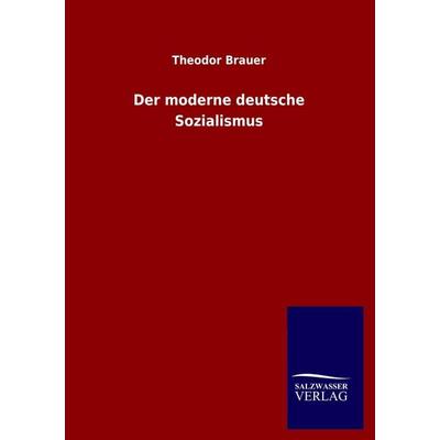 Der moderne deutsche Sozialismus, Taschenbuch von Theodor Brauer, Salzwasser, 978-3-8460-2313-6