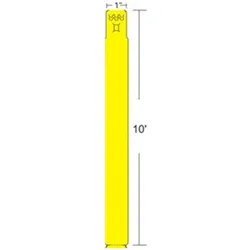 Zebra, Etikettenrolle, Z-BAND FUN 25X254MM (25.40 mm)