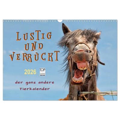Lustig und verrückt - der ganz andere Tierkalender (Wandkalender 2026 DIN A3 quer), CALVENDO Monatskalender