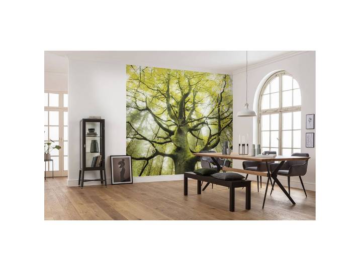 Papier peint intissé Arbre enchanté 450cm