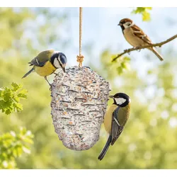 Premium-Riesenzapfen mit Fettfutter für Wildvögel