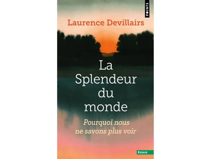 La Splendeur du monde - Pourquoi nous ne savons plus voir (Poche)