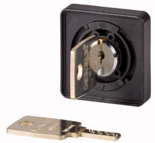 Eaton 045463 +EZ/S-F Frontelement Frontring Kunststoff Schlüssel Silber 1St.