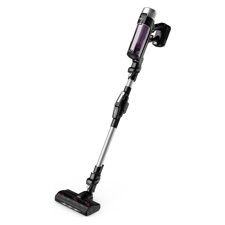 Rowenta XForce Flex 9.60 Allergy (RH2037WO)