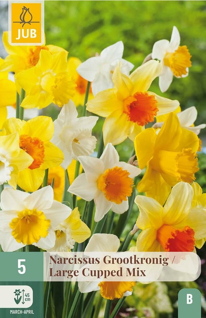 Jub Narcis grootkronig mix 5 bollen