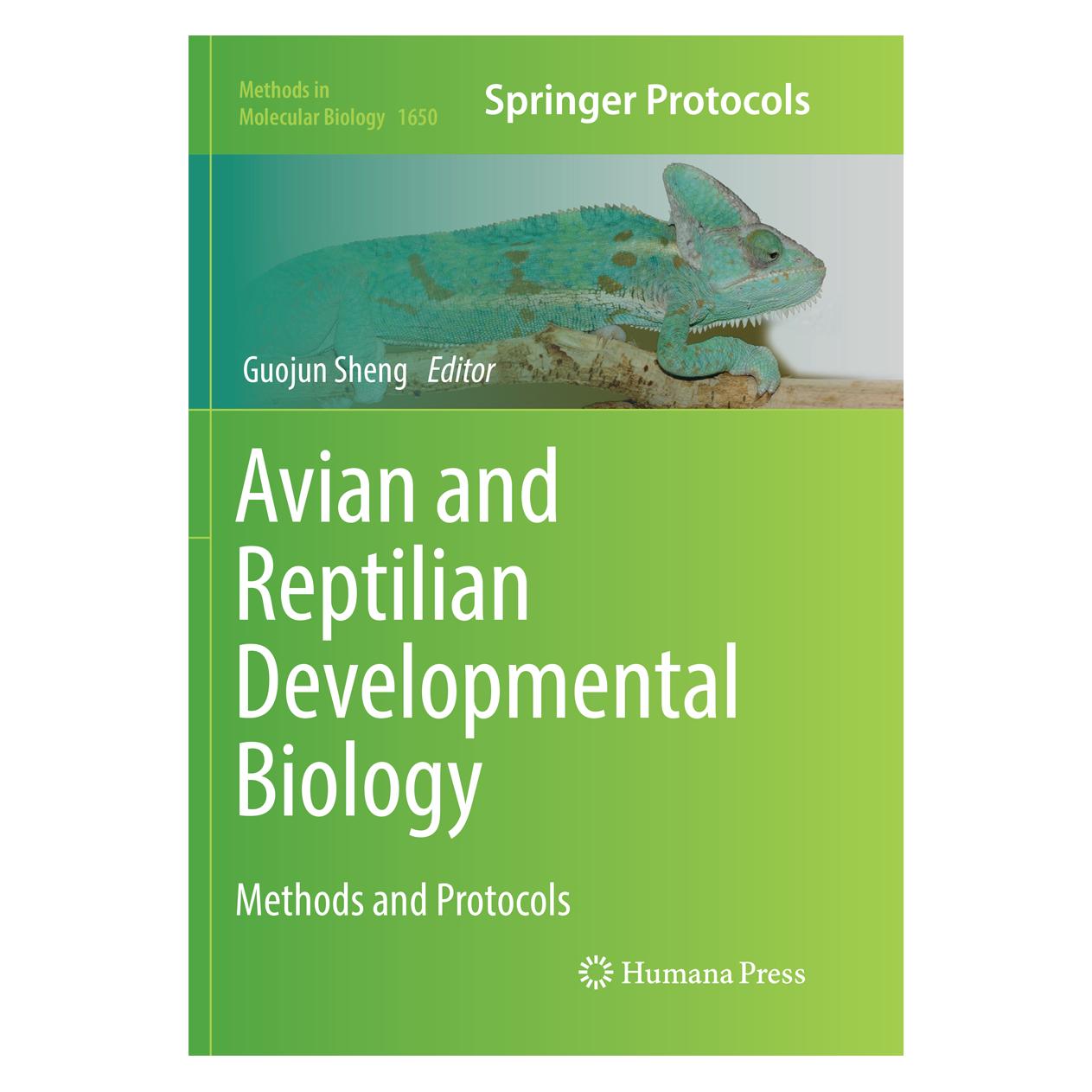 Springer Avian and Reptilian Developmental Biology (Englisch, Softcover, Guojun Sheng) (56053163)