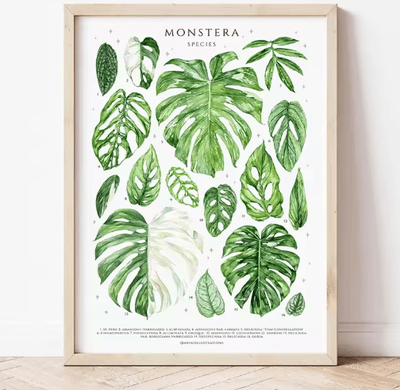 Inspire Picks Green Botanical Leaves Canvas Wall Art Calming Nature Houseplant Decor 2 50x70cm