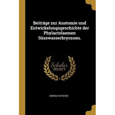 Beiträge Zur Anatomie Und Entwickelungsgeschichte Der Phylactolaemen Süsswasserbryozoen., Taschenbuch von Hinrich Nitsche, Creative Media Partners,