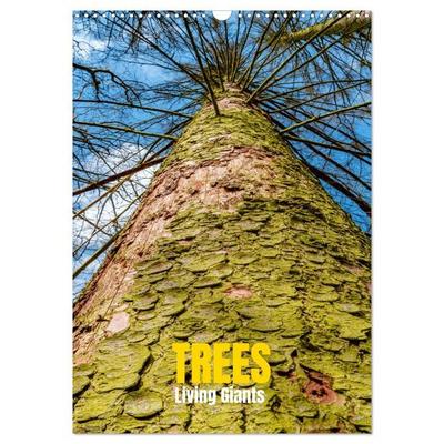 Trees, Living Giants (Wall Calendar 2027 DIN A3 portrait), CALVENDO 12 Month Wall Calendar