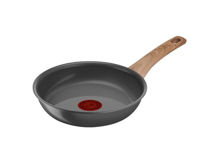 Poêle 20cm Aluminium Revêtement Anti-adhésif Tous Feux Dont Induction Renew TEFAL
