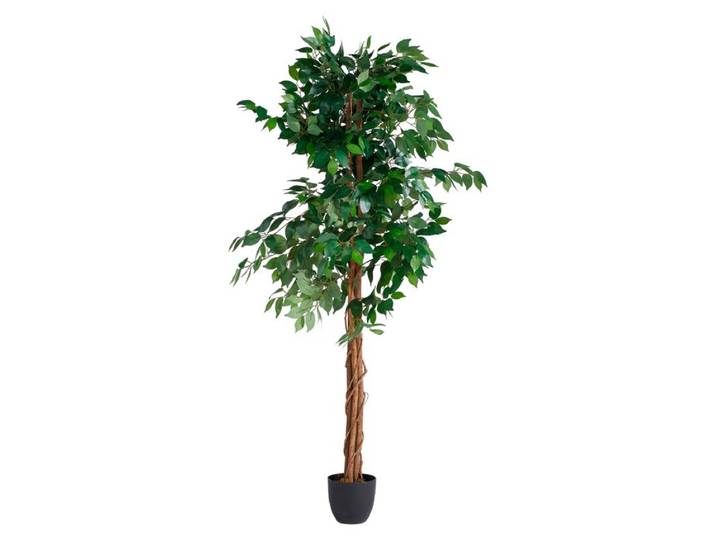 Plante artificielle H180 cm FICUS Noir / Vert